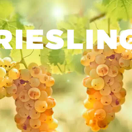 nho-Riesling-2